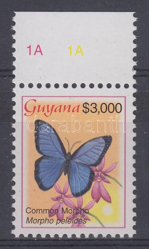 Schmetterling Marke mit Rand, Lepke ívszéli bélyeg, Butterfly margin stamp