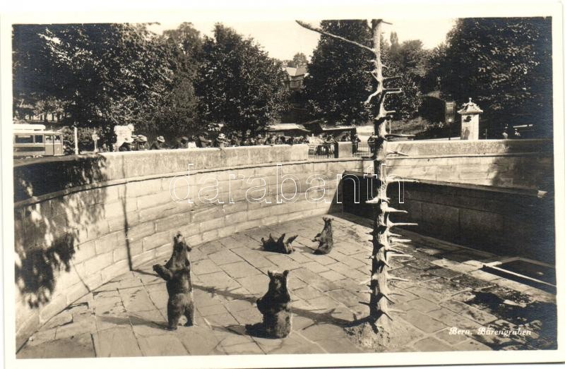 Bern, Bärengraben / Bear Pit, Bern, Bärengraben / medvepark