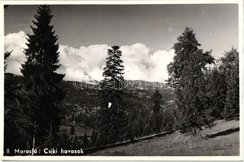 Marosfő, Csiki havasok, Izvoru Muresului, mountains