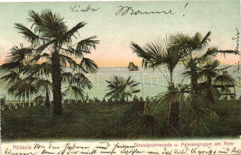 Abbazia, Sétatér, pálmák, tenger, Abbazia, promenade, palm trees, sea