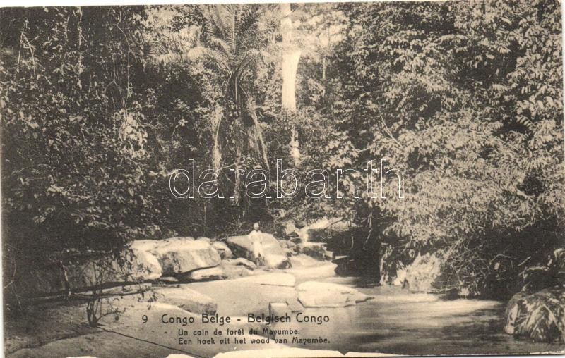 Mayumbe, forest, 5 Centimes Ga.