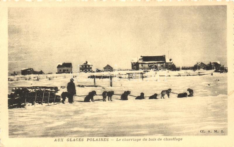 Aux glaces polaires, Le charriage du bois de chauffage / Polar folklore, Thrusting firewood, Sarkvidéki folklór