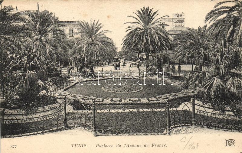 Tunis, Parterre de l'Avenue de France