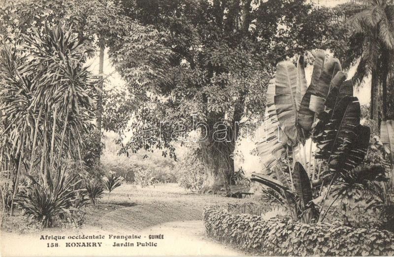 Conakry, Konakry; Jardin Public / public garden