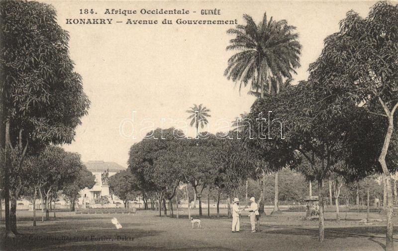 Conakry, Konakry; Government avenue