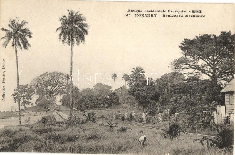 Conakry, Konakry; Circular Boulevard