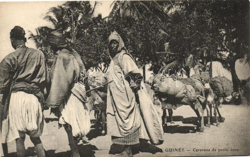 Caravan de petits anes / Donkey caravan, African folklore, Szamár karaván, afrikai folklór