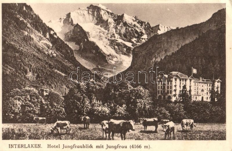 Interlaken, Hotel Jungfraublick, Jungfrau