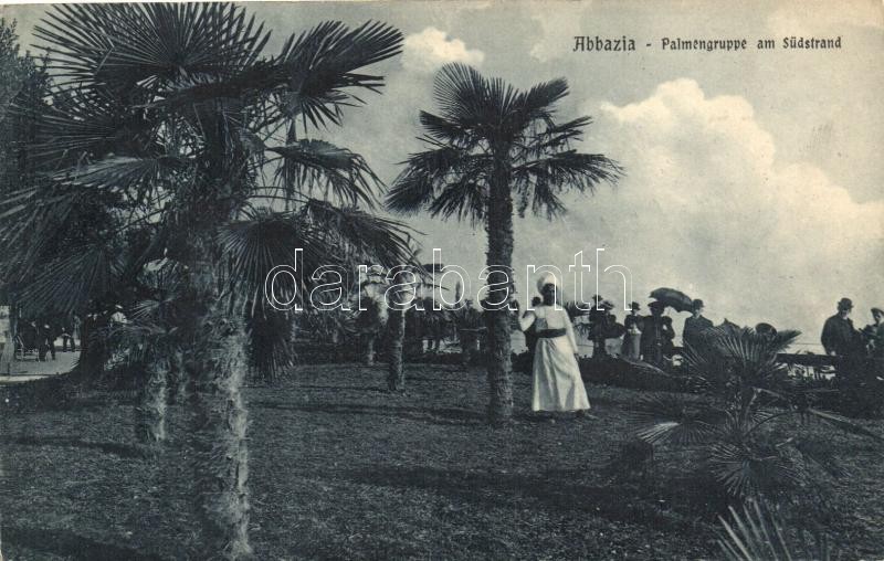 Abbazia, pálmafák, strand, Abbazia, palm tree, beach
