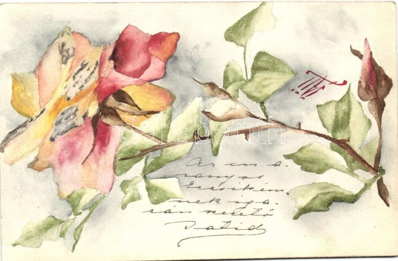 Rose, flower, hand painted postcard