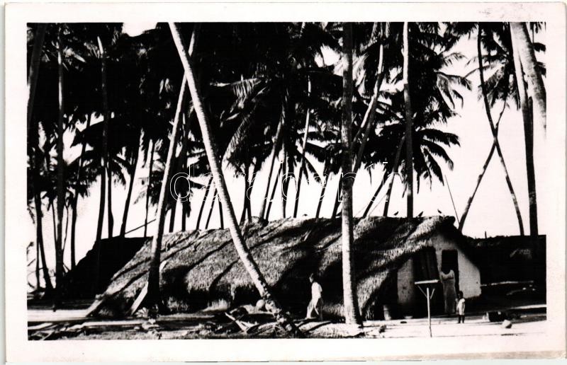 Bennszülött kunyhó a kókuszpálmák alatt, Native hut under coconut palm, photo