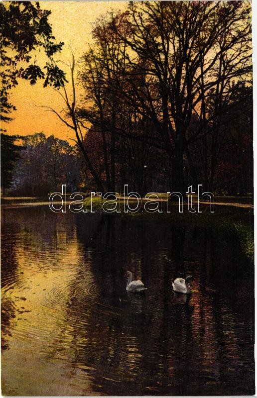 Dresden, Grosser Garten im Herbst / park; Photochromie Serie 133. Nr. 2577.