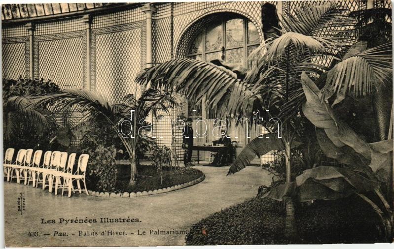 Pau, Palais d'Hiver, Palmarium / Winter Palace, palmarium