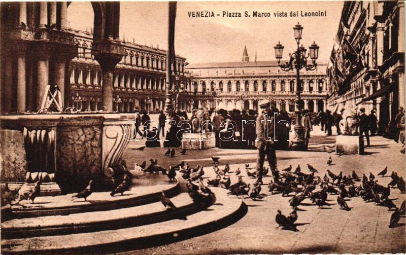 Venice, Venezia; Piazza S. Marco, Leoncini / square, pigeons