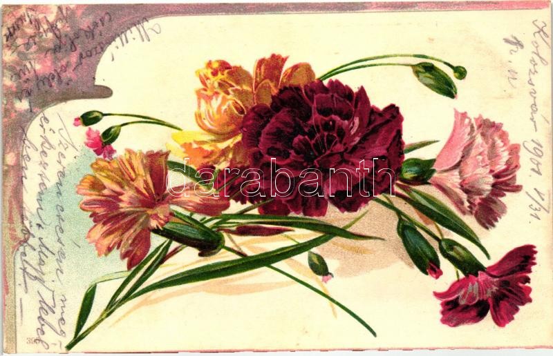 Carnations litho, Szegfűk litho