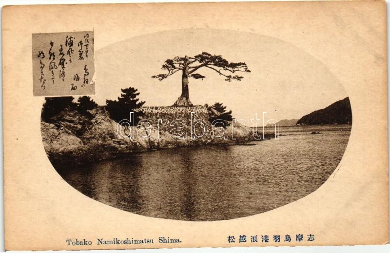 Shima, Tobako Namikoshimatsu