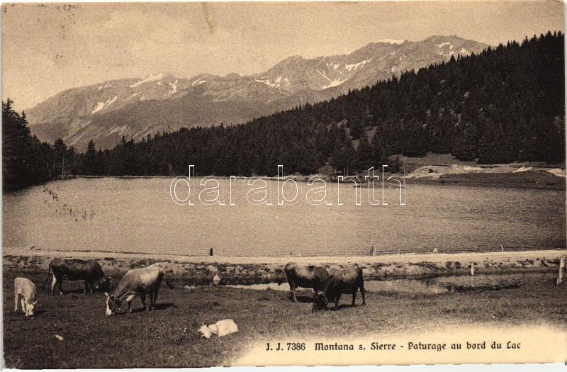 Montana sur Sierre, lake