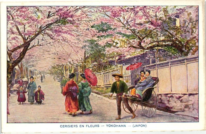 Yokohama, Cerisiers en fleurs / cherry blossom