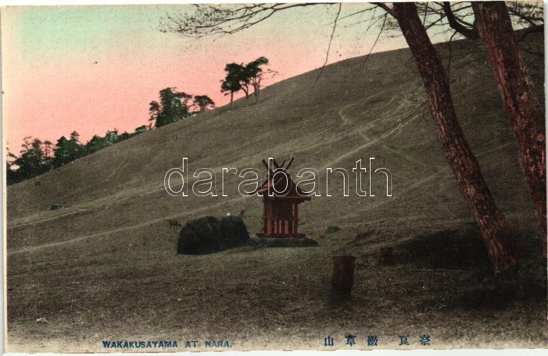 Nara, Mount Wakakusa, Nara, Wakakusa hegy