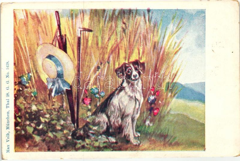 Dog in the field, lady's hat, umbrella, cane, Max Volk Thal 28 G.G. No. 1429