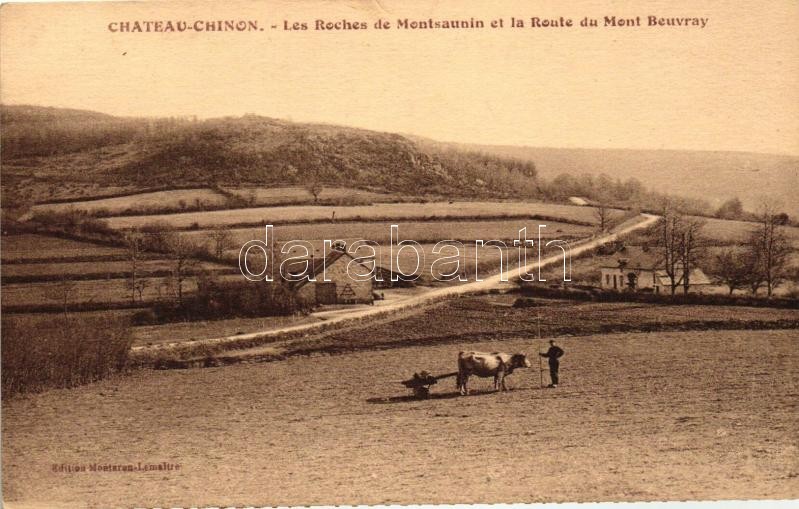 Chateau-Chinon, Montsaunin, Mont Beuvray