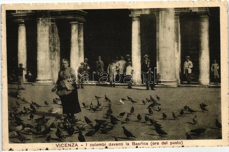 Vicenza, I colombi davanti la Basilica / feeding pigeons