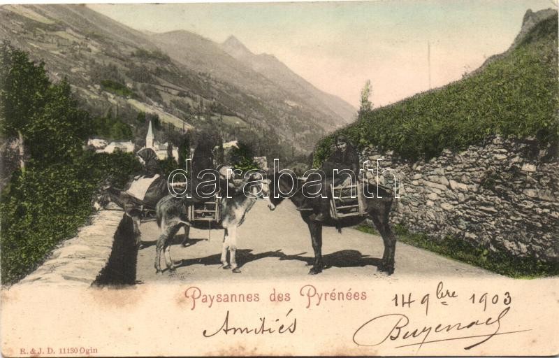 Francia folklór a Pireneusokból, Paysannes des Pyrénées / French folklore from Pyrenees