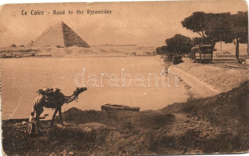 Cairo, Le Caire; Road to the Pyramides, camel