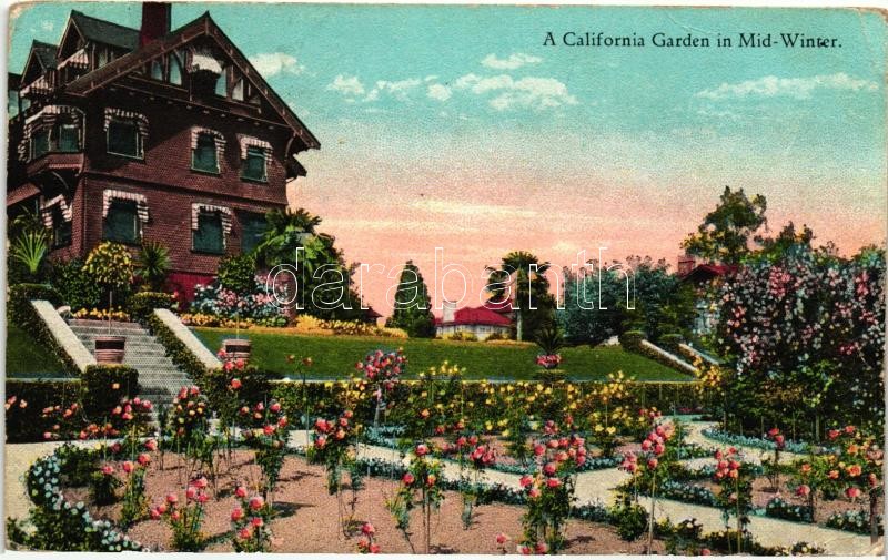 California Garden in Mid-Winter