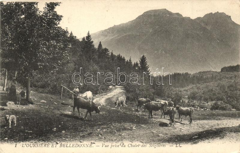 Oursiere et Belledonne, Vue prise du Chalet des Seiglieres / farm, oxen