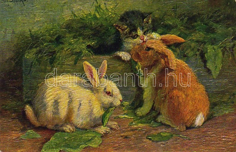 Macska nyulakkal, s: M. Stocks, Cat with rabbits, s: M. Stocks