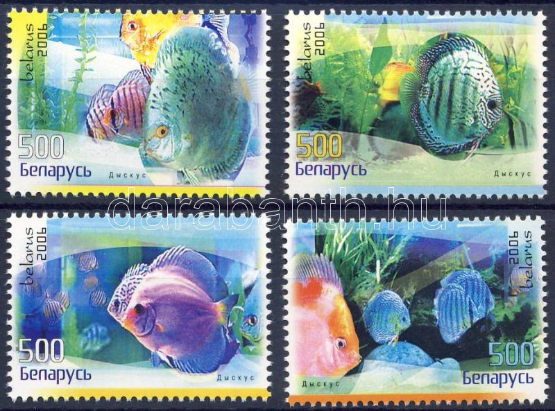 Fish in the aquarium set, Akváriumi halak sor, Diskusfische Satz