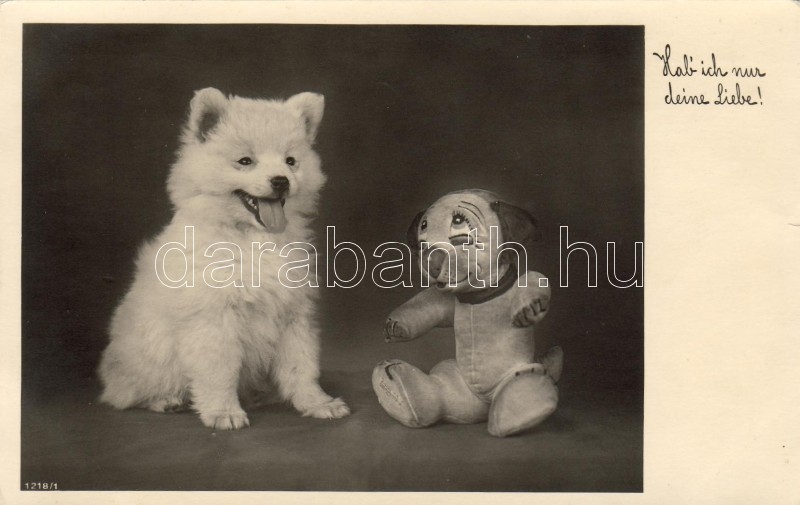 Dog with toy dog, Kutya játékkutyával