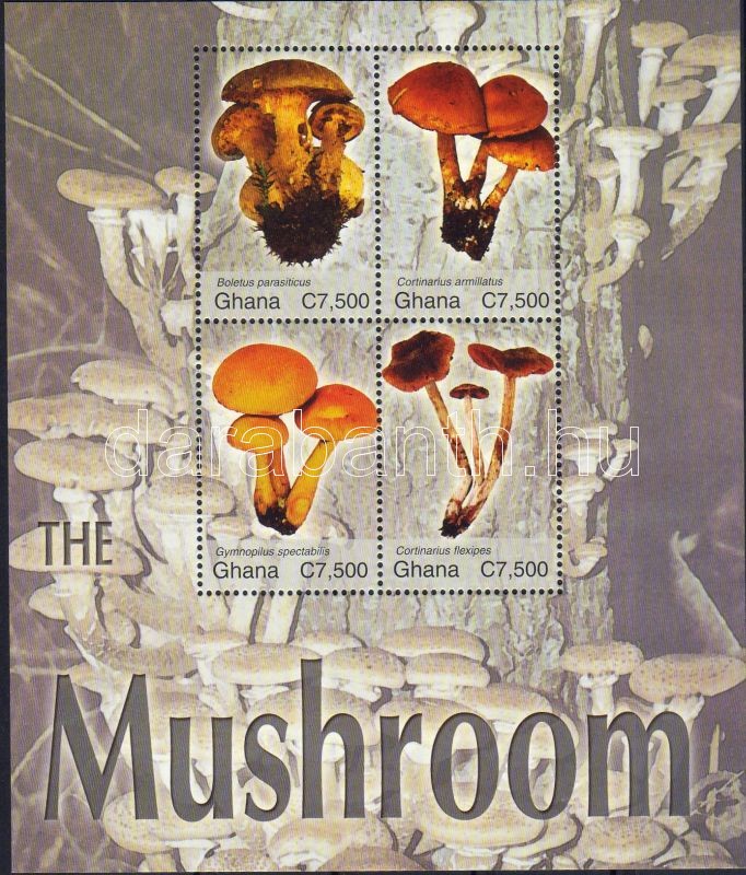 Gombák kisív, Mushrooms minisheet, Pilze Kleinbogen