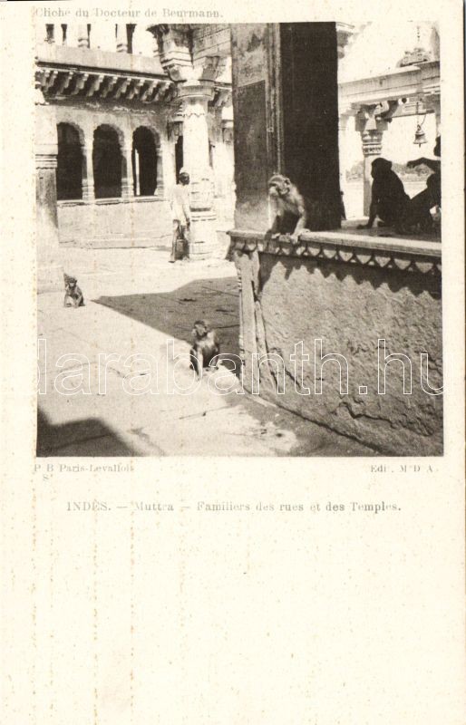 Mathura, Muttra; street, church, monkeys