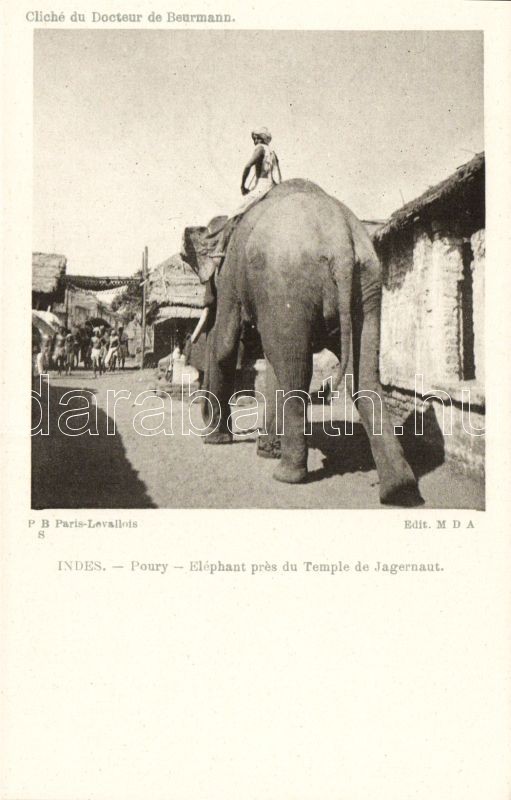 Puri, Poury; Jagannath Temple, elephant