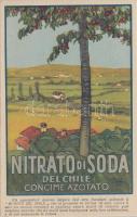 Nitrato de Chile fertilizer, advertisement, Nitrato de Chile trágya, reklám