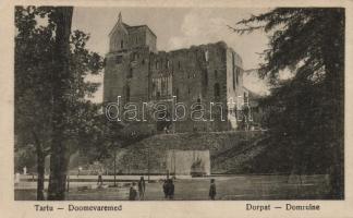 Tartu, Dome ruin, Tartu, Dóm rom