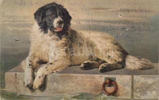 Kutya s: Sir Edwin Landseer, Dog s: Sir Edwin Landseer