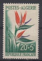 Paradisebird-flower; stamp, Paradicsommadár-virág; bélyeg, Paradiesvogelblume; Stamp