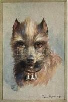 Dog s: Paul Thomas, Kutya s: Paul Thomas