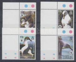 Graukopfalbatros Satz mit Rand, Szürke fejű albatrosz ívsarki sor, Grey-headed albatross corner set