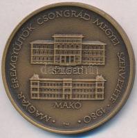 Fritz Mihály (1947-) 1980. "MÉE Szeged / Makó- József Attila" Br emlékérem (42,5mm) Mihály...