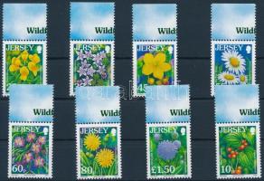 Definitive: wildflowers margin set, Forgalmi: vadvirágok ívszéli sor, Freimarken: Wildblumen Satz mit Rand