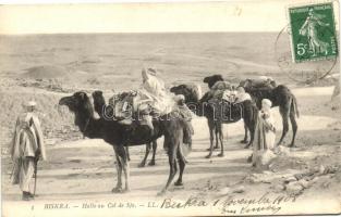 Biskra, camel caravan stop