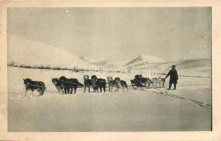 Arctic folklore from Alaska, dog sled, Sarkvidéki folklór Alaszkából, kutyaszán