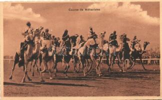 Course de Méharistes / French camel cavalry