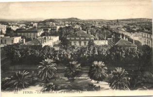 Tunis, The residence