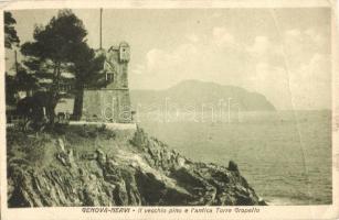 Genova-Nervi, Il vecchio pino e l'antica Torre Gropallo, Genova-Nervi, Il vecchio pino e l'antica Torre Gropallo