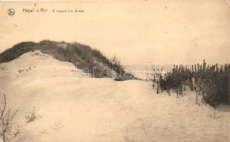 Heist-sur-Mer, dunes